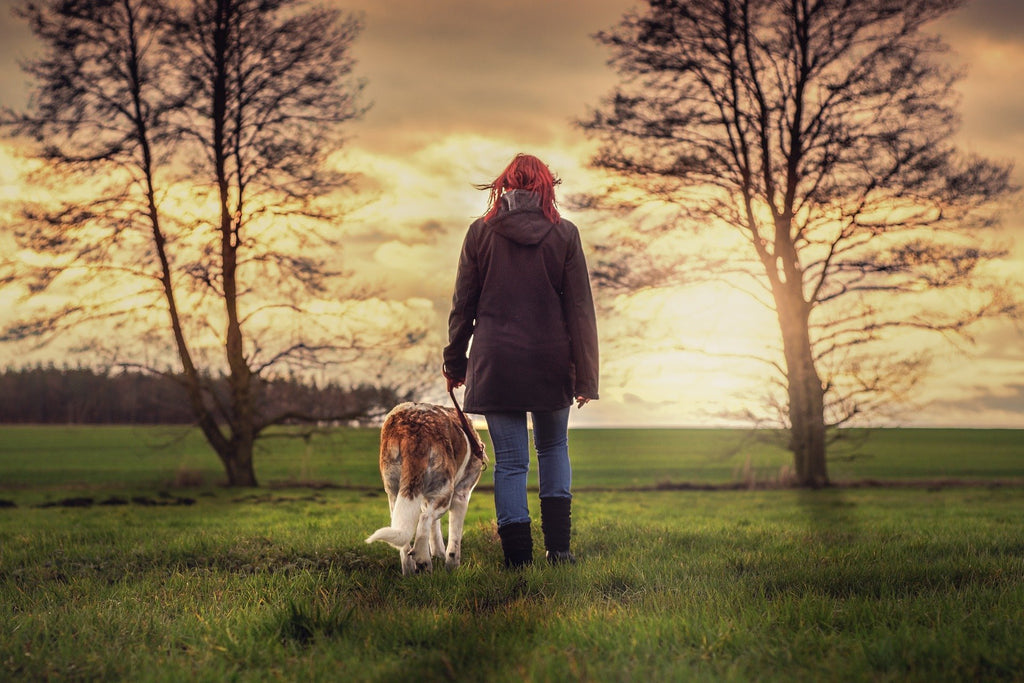 Paws-itive Play: 5 Ways to Keep Your Dog Healthy and Happy
