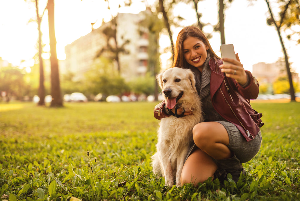 Mastering Pet Selfies: A Professional Guide to Captivating Animal Photography