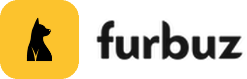 Web App Creative